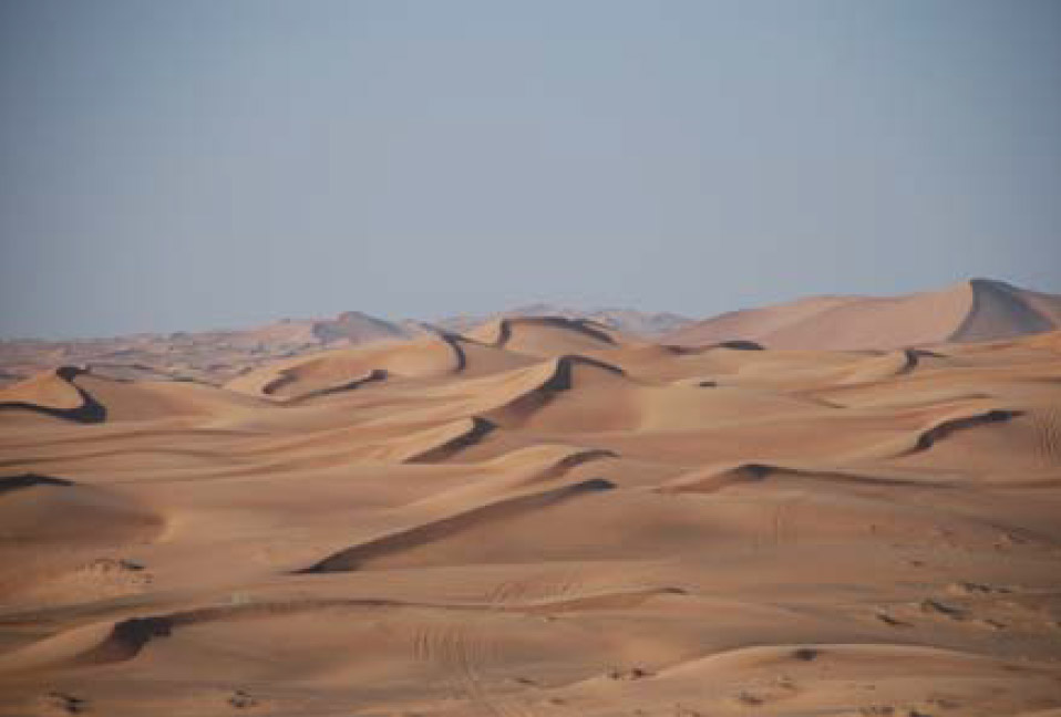 Desert Environment 